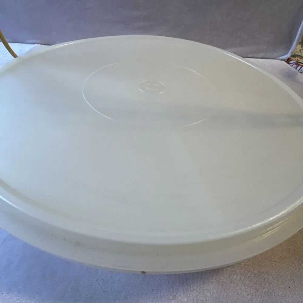 Tupperware 405-2 Vintage Divided Party Tray Relish Veggie Handle Lid 224-9